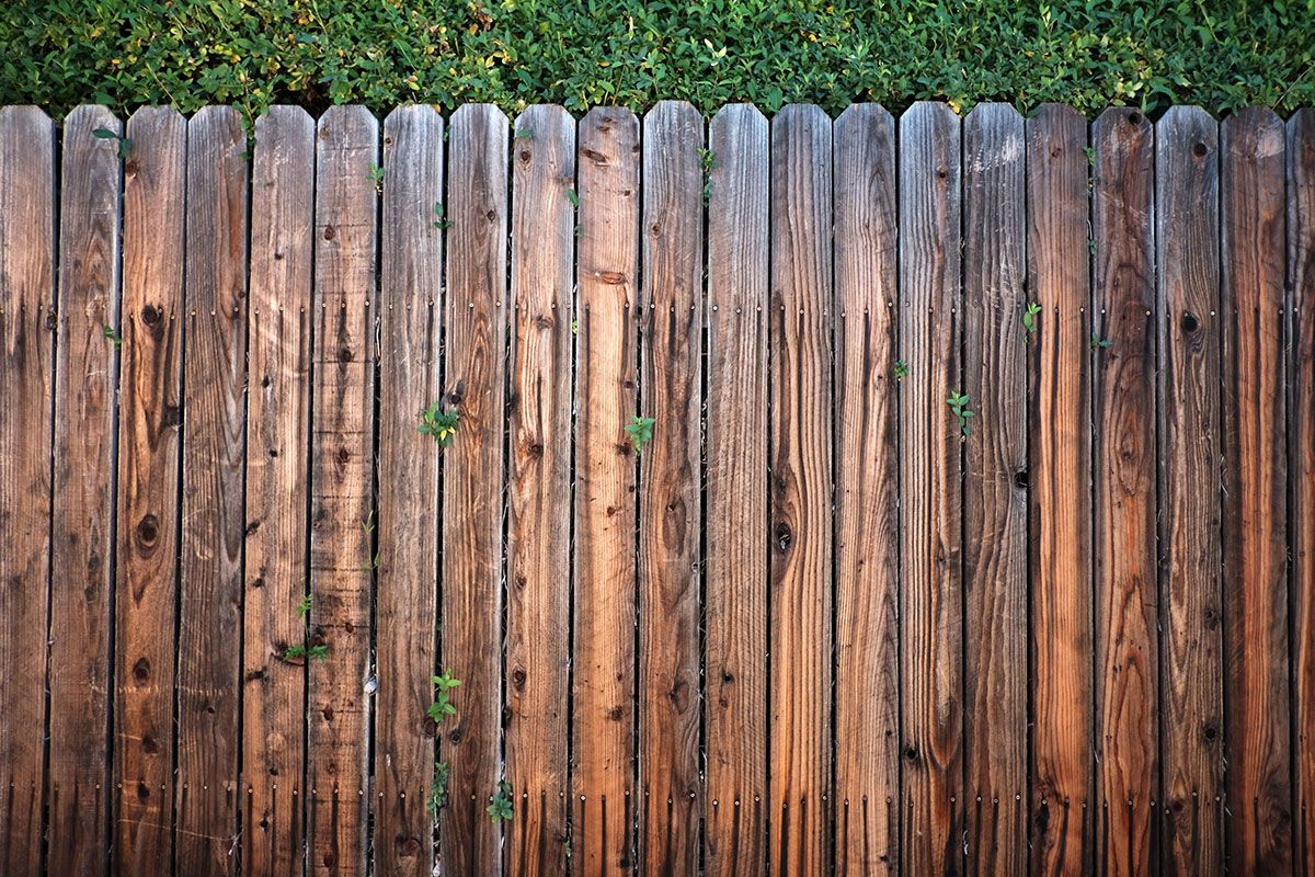Whether it's fence panel, chain link or a white picket fence, Infinity ProServ can install a range of fencing options to improve security and make your garden glow.