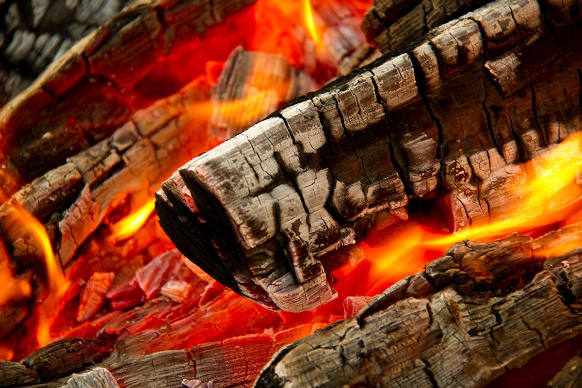 Infinity ProServ looks into the world of firewood and what you need to be looking for when buying firewood for your open fire or log-burner.