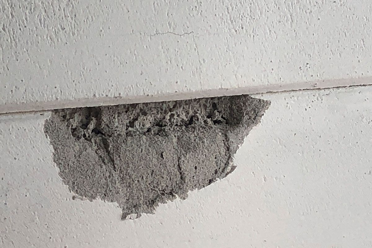 Infinity ProServ looks at the problems around Reinforced Autoclaved Aerated Concrete (RAAC) and its use within domestic properties.