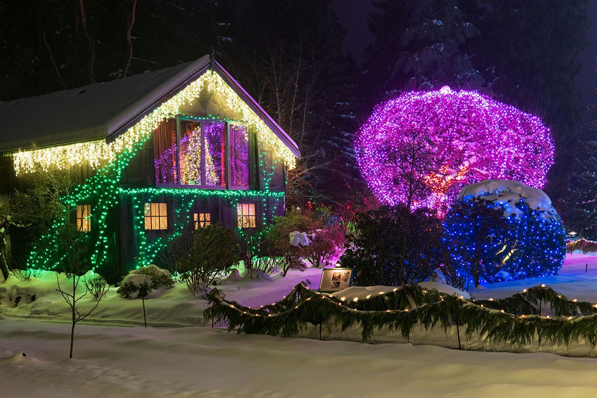 You might not want to think about it, but now is the right time to start considering what you're going to do with your Christmas Lights