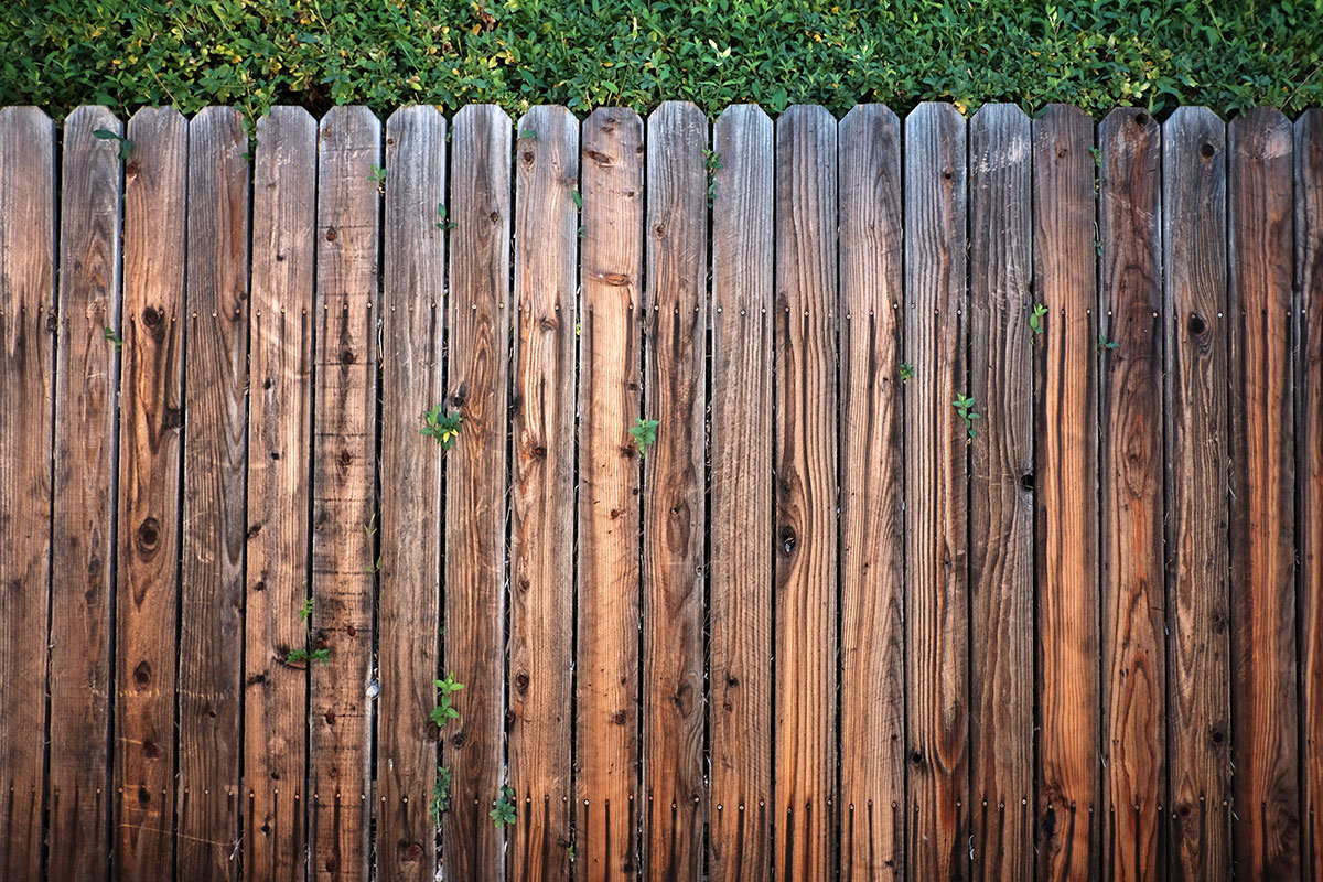 Whether it's fence panel, chain link or a white picket fence, Infinity ProServ can install a range of fencing options to improve security and make your garden glow.